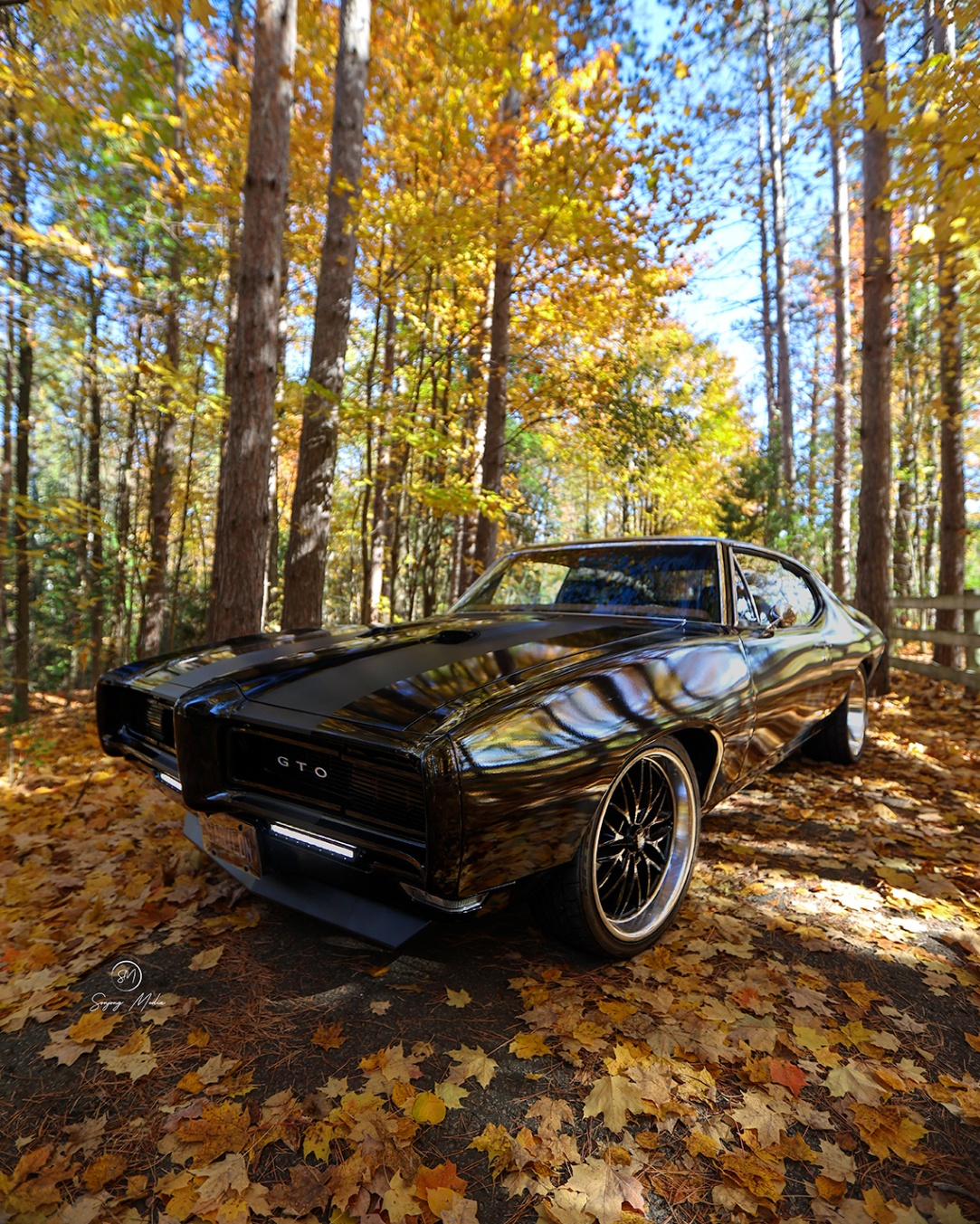 GTO fall